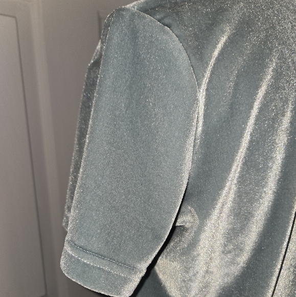 Madewell Small Seafoam Green Velvet Turtleneck Short Sleeve Top - Picture 6 of 12